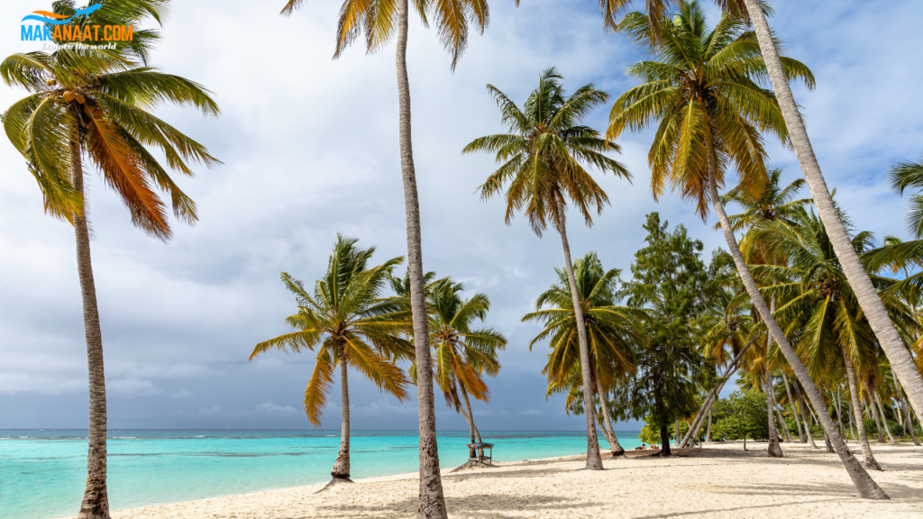 Caribbean Islands (Saint Lucia, Turks & Caicos, Barbados, and More)