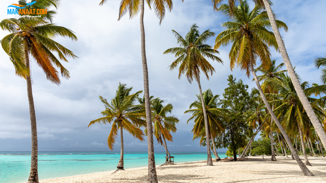 Caribbean Islands (Saint Lucia, Turks & Caicos, Barbados, and More)