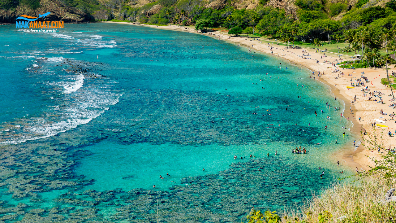 Hawaii: Your Tropical Home-Away-From-Home